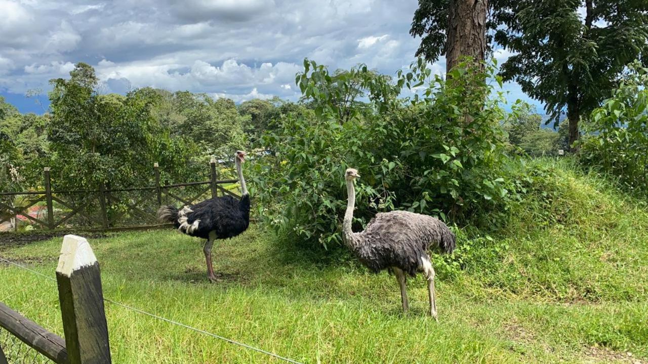 Rancho Ecoturistico El Faro Hotell La Mesa  Exteriör bild