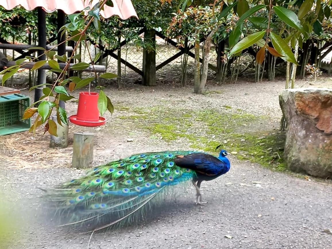 Rancho Ecoturistico El Faro Hotell La Mesa  Exteriör bild