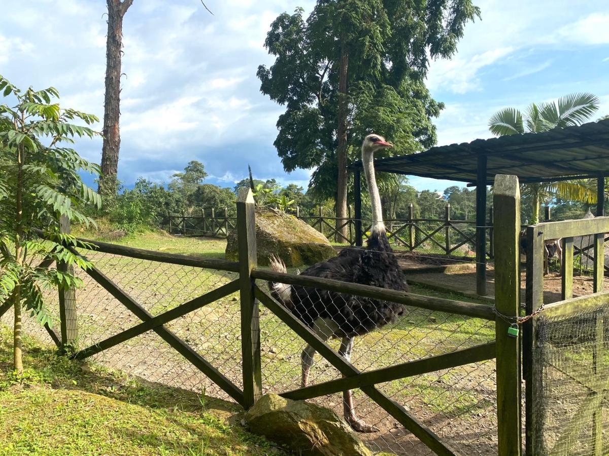 Rancho Ecoturistico El Faro Hotell La Mesa  Exteriör bild