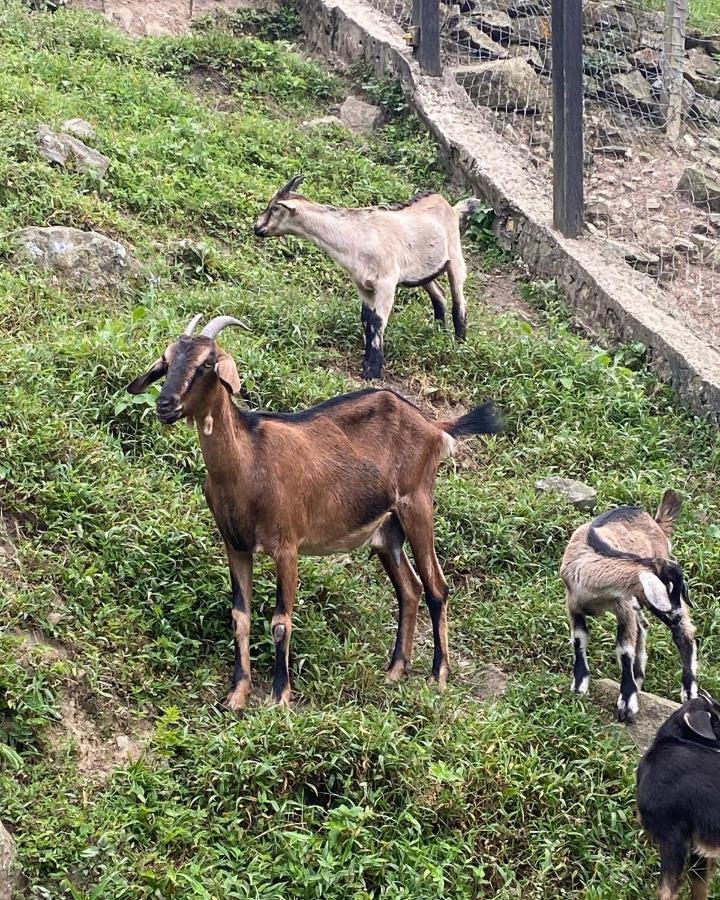 Rancho Ecoturistico El Faro Hotell La Mesa  Exteriör bild